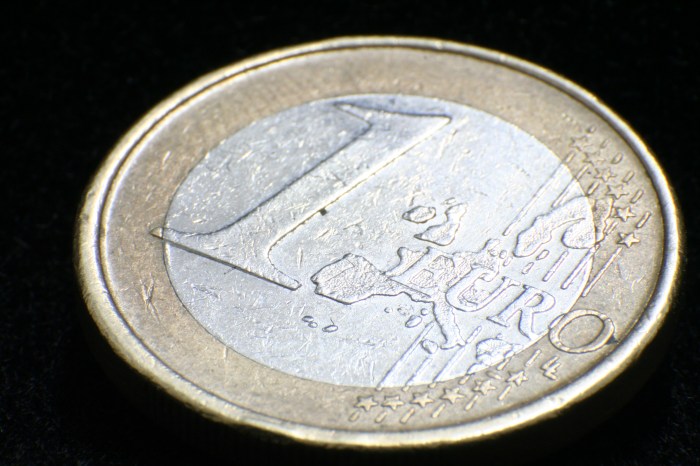 Euro