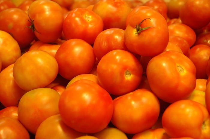 tomates