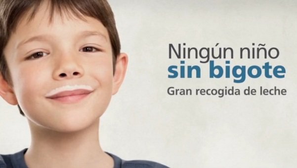 Gran-recogida-de-leche-para-lo_54429944394_53699622600_601_341