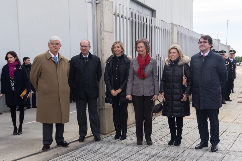 banco-de-alimentos-1197